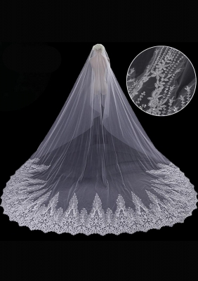 Cathedral Length Veil style 8